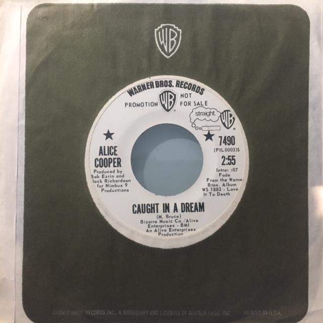 Caught In A Dream / Hallowed Be My Name - USA / Single / Promo Pressing / 7490 