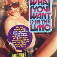 Book - 2013 - What you want is in the Limo - Michael Walker / USA