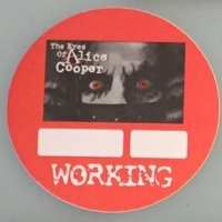 2004 - The Eyes of Alice Cooper / Working