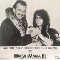 1987 - Jake The Snake - Titan Sports Inc.